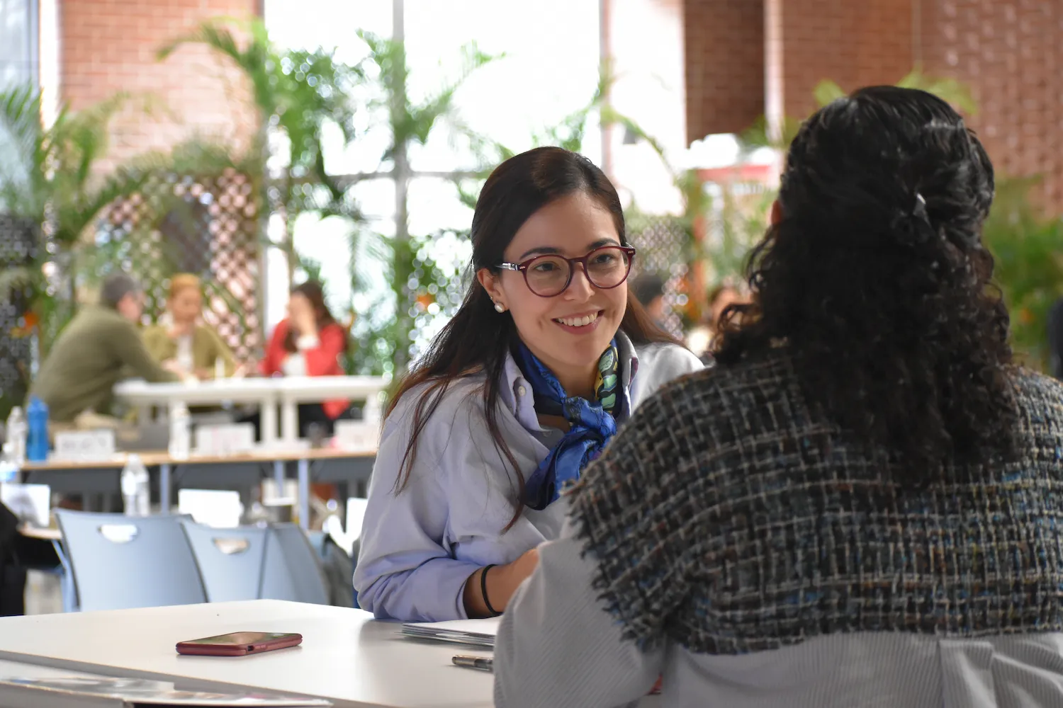 Collegium Focused Program